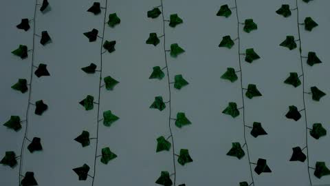 MIA online show from 11-12-25, 10:20