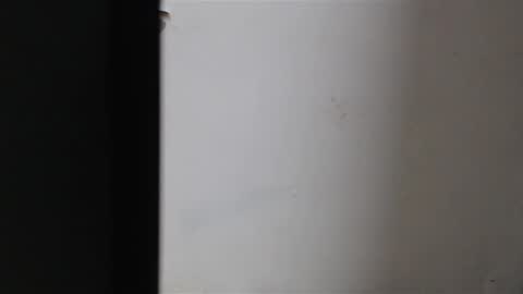 Mia Sepulveda online show from 01-22-25, 04:02