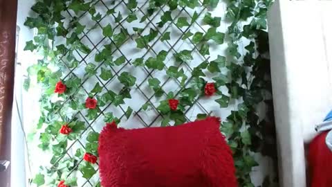 Mia squirt big INDEPENDENT MODEL...ONLYFANS  online show from 12-06-24, 12:49