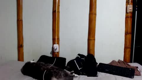 Mia  Sam online show from 01-17-26, 11:41