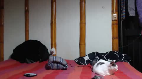 Mia  Sam online show from 03-07-26, 10:18