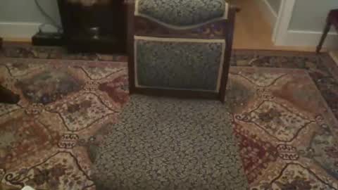 miamiwrestler online show from 12-22-25, 02:41