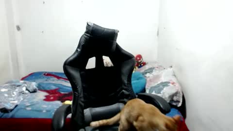 mia online show from 05-09-26, 04:17