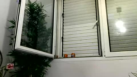 MILO MIAMI online show from 06-28-26, 12:27