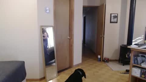 Michelle online show from 02-13-25, 03:56