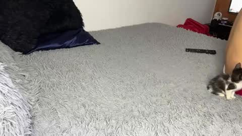 michellepetitte online show from 03-20-26, 07:13