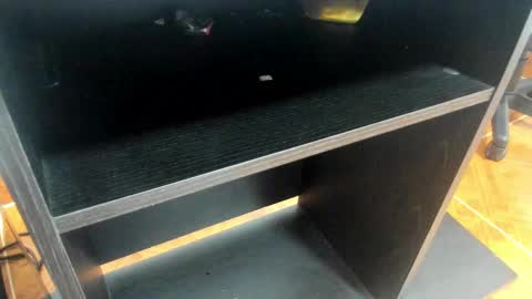 Snapshot of miia_taylor_1_ chatting on 02-24-25, 11:10 Mia online show from 02-24-25, 11:10