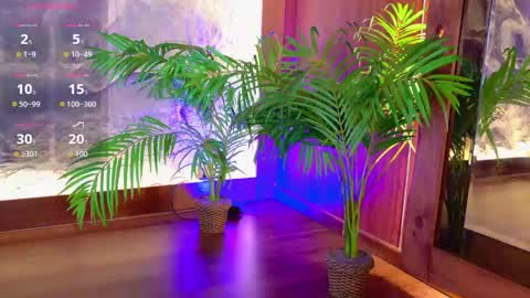 Snapshot of miiaa_cooper chatting on 05-19-26, 04:24 CALL ME MIA online show from 05-19-26, 04:24