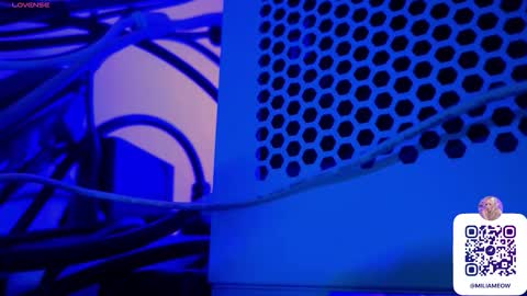 Snapshot of miliameow chatting on 10-08-25, 12:19 Milia online show from 10-08-25, 12:19