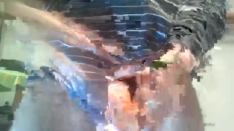 Snapshot of milymen26 chatting on 01-13-26, 11:32 Milymen26 Polish man master fereskik straight mature online show from 01-13-26, 11:32