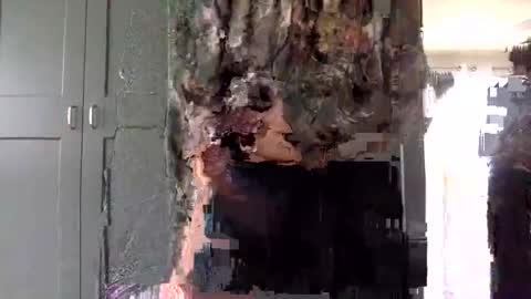 Snapshot of mince_alors chatting on 11-24-25, 05:34 mince_alors online show from 11-24-25, 05:34