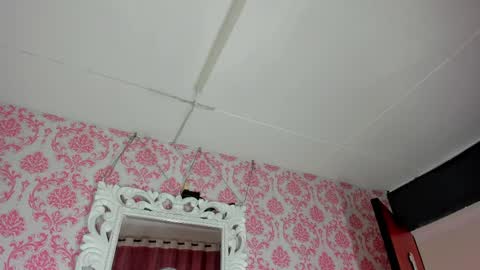 Snapshot of mini_rouse chatting on 05-01-26, 12:43 Mini Rouse online show from 05-01-26, 12:43