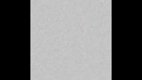 Misa online show from 11-24-25, 08:03