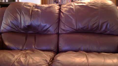 misohoney007 online show from 04-11-26, 12:42