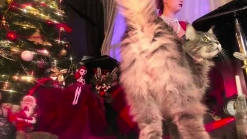 missAsmodeus online show from 12-24-24, 09:00