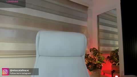 Catalina online show from 03-24-26, 11:48