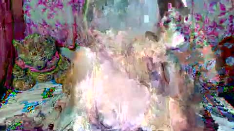 miss v0lcan0 online show from 03-15-26, 12:05