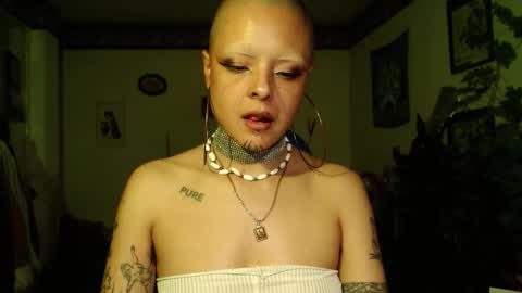 Anarkitten  online show from 12-19-25, 12:17