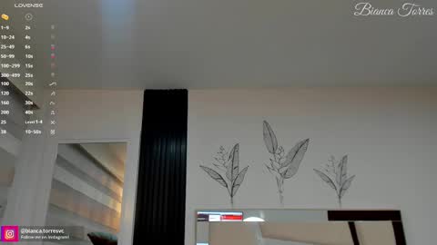 Snapshot of missbianca1 chatting on 02-14-25, 11:20 Bianca Torres online show from 02-14-25, 11:20