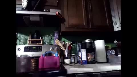 MissEeva online show from 12-14-24, 06:46