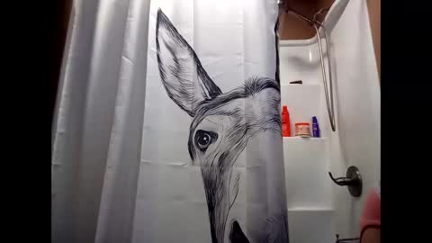 MissEeva online show from 12-28-24, 02:01