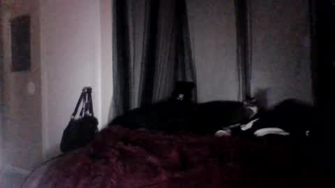 Snapshot of missgospelz_entertainmentz chatting on 02-27-25, 02:21 missgospel online show from 02-27-25, 02:21