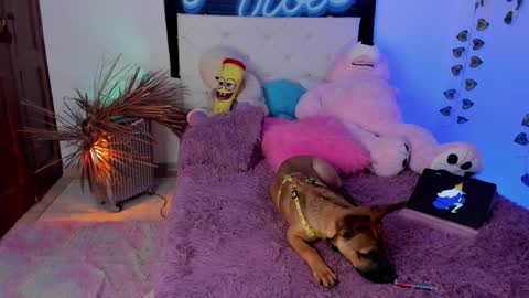 Snapshot of misstexass_ chatting on 12-04-24, 06:06  Natalie Texass indepedent model online show from 12-04-24, 06:06