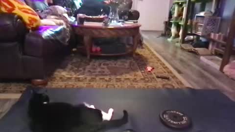Snapshot of missyoga chatting on 02-02-26, 10:52 Jaxie online show from 02-02-26, 10:52