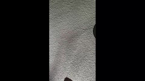 mister_nasty online show from 10-03-25, 09:56