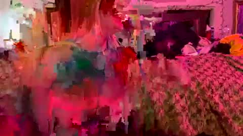 Smashing69 online show from 07-29-26, 06:39