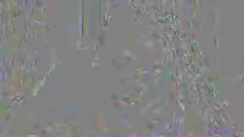 Snapshot of mistressmystii chatting on 07-03-26, 03:02 Mistress Mystii online show from 07-03-26, 03:02