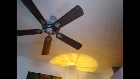 BobbyMitchGa online show from 01-07-25, 01:14