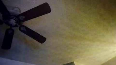 BobbyMitchGa online show from 10-10-25, 08:13