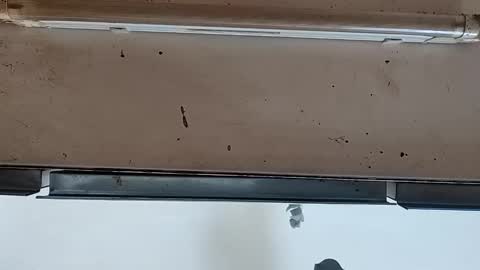 camilo online show from 09-24-25, 12:08