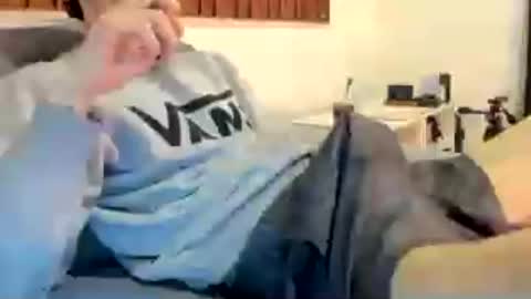 DigBreed online show from 07-22-26, 11:29