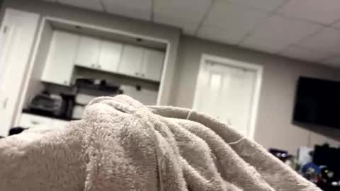 moethecheater7 online show from 02-22-26, 08:24