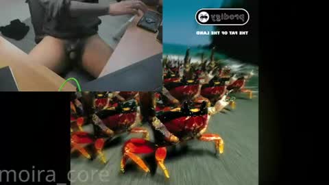 moira_core online show from 07-24-26, 10:13