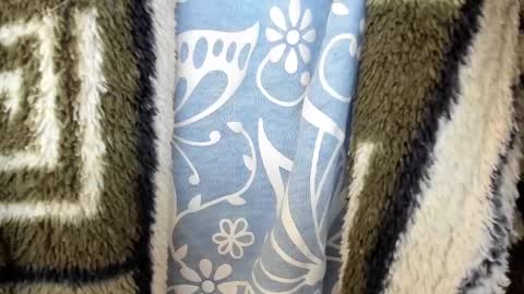 Snapshot of mollystory chatting on 02-28-25, 03:59 AngelMomm online show from 02-28-25, 03:59