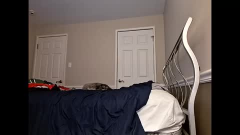 moneyboysaveg584 online show from 04-12-26, 10:09