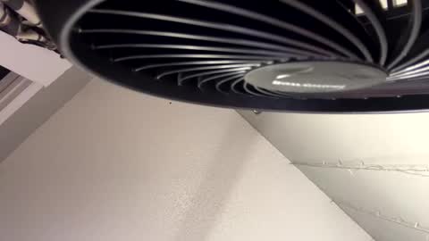 Monica online show from 12-09-24, 05:19