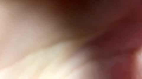 Monica online show from 12-11-24, 08:36