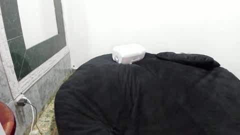 Snapshot of monkeyd_66 chatting on 01-28-25, 01:29 monkeyd_66 online show from 01-28-25, 01:29