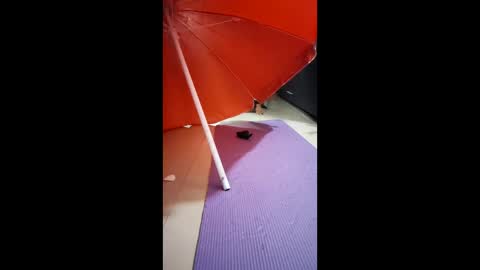 morbucksrica online show from 02-15-26, 03:25