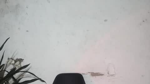 John john online show from 02-24-25, 06:27