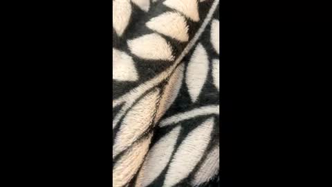 Morgan  Gina online show from 03-21-26, 02:27