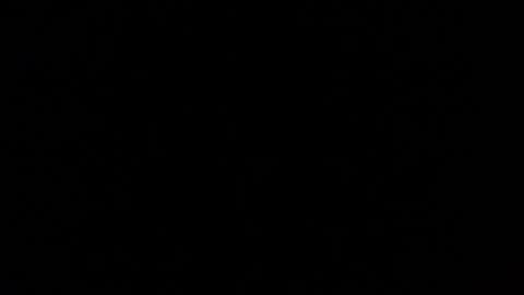 Nomadu online show from 03-01-25, 05:49