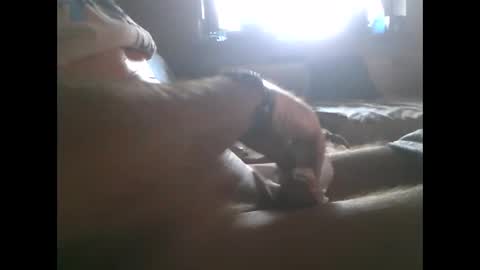 mowgli1977 online show from 12-28-24, 08:37