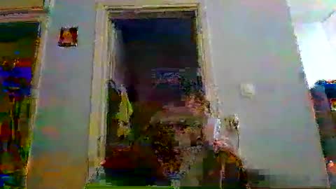 mppempis81 online show from 01-05-26, 06:44