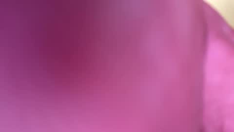 Snapshot of mr6ray chatting on 01-08-25, 03:40 mr6ray online show from 01-08-25, 03:40