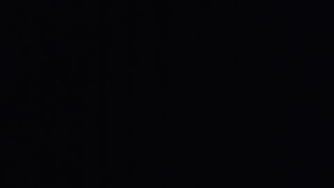 mr_fox69 online show from 04-22-26, 09:33